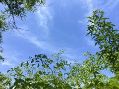 -鸡鸣山旅游风景区