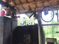 -合肥滨湖国家森林公园