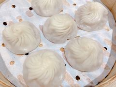 鲜肉小笼-苏小柳手工点心(人民广场分院)