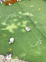 -萌宠亲子动物乐园(槐房万达店)