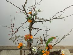-荷兰布尔玛国际花艺学院