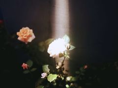 -T-COFFEE(长江花园店)
