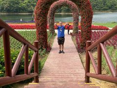 -广州市石门国家森林公园