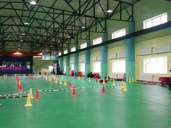 -长春乐奇平衡车儿童体能运动中心