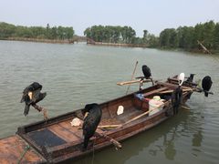 -长兴太湖图影湿地文化园