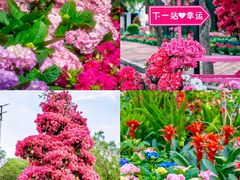 -龙凤山庄影视度假村