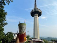 -茶颜悦色(岳麓山顶店)