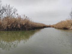 -泗洪洪泽湖湿地景区