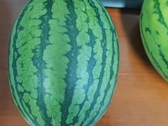 -漂洋体育·游泳馆·游泳培训(中石化会议中心馆)