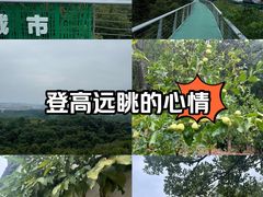 -老山国家森林公园