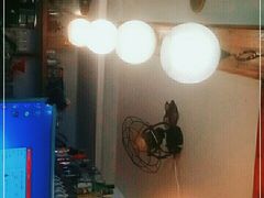 -参差咖啡(水果湖公园店)