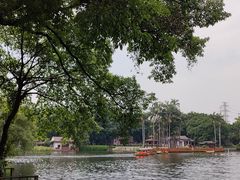 -荔湾湖公园