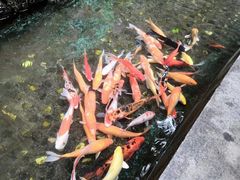 -福建天门山