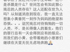 4a6b0721jw1ein4flhvipj20hs0vkag8-上海浦东华美达大酒店