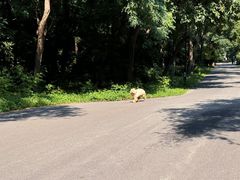 -北陵公园