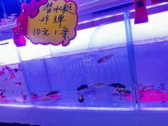 -中环花鸟鱼虫市场