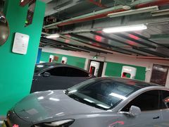 -TESLA 特斯拉(郑州正弘城体验店)