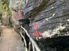 -石台牯牛降景区