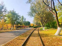 -永定河休闲森林公园