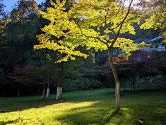 -南山风景名胜区