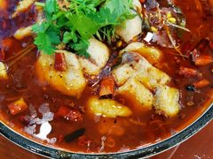 炝锅水煮鱼-龙凤瓦罐煨汤馆(清江东路店)