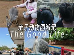 -深圳野生动物园