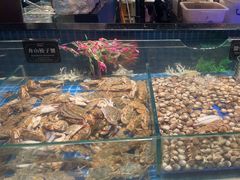 -宴立方海鲜自助(义乌万达广场店)