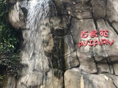 -九龙公园