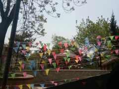 -石家庄市动物园