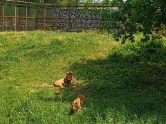 -宿豫区运河湾森林动物园
