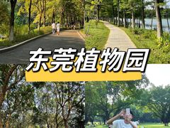 -东莞植物园