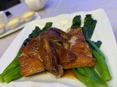 -乙龍天