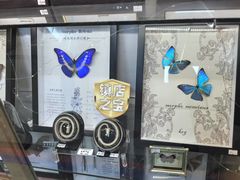 -上海大自然野生昆虫馆(东方明珠·爬宠昆虫探索中心)
