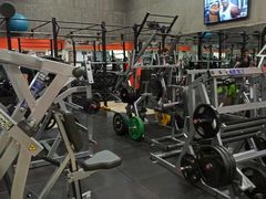 -健身专家Wellness Experts