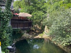 -老张烤羊(王哥庄店)