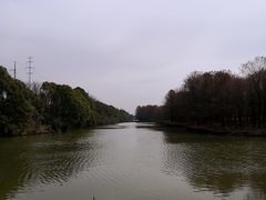 -上海海湾国家森林公园