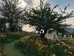 -名花谷生态庄园