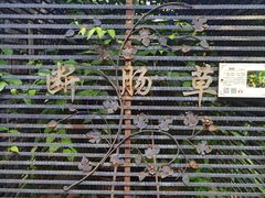 -广州神农草堂中医药博物馆