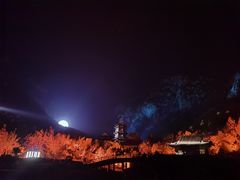 -禅宗少林·音乐大典