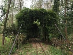 -合肥滨湖国家森林公园