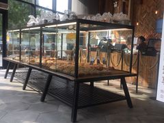 面包甜点陈列柜-原麦山丘(望京小街店)