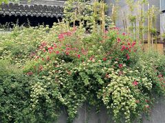 -回龙窝历史文化街区