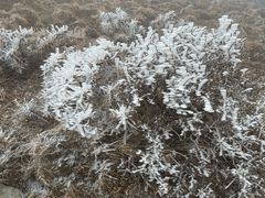 -灵山