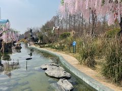-荷兰花海