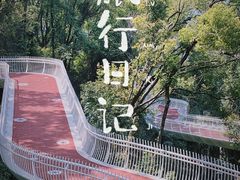 -金鸡山公园