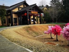 -崇阳三特浪口温泉