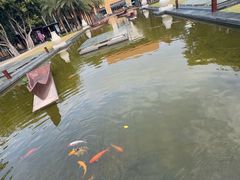 -三亚海棠湾万丽度假酒店