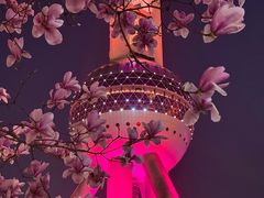-东方明珠广播电视塔