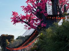 -天适樱花悠乐园