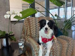 -山下C5cafe(惠通时代广场店)